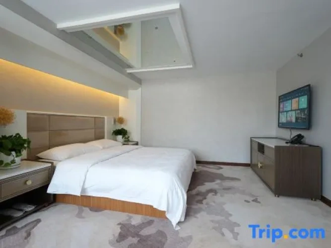 Standard Suite