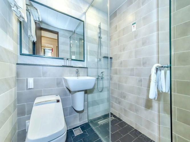 Standard Twin room with city view