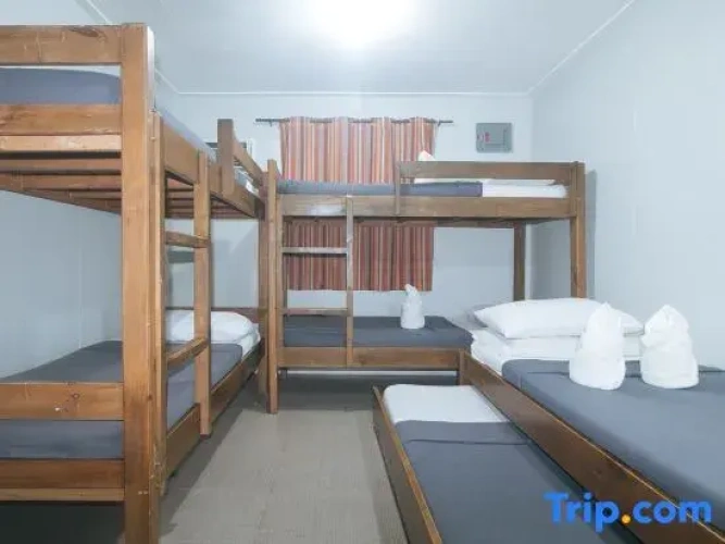 Bed in Dorm