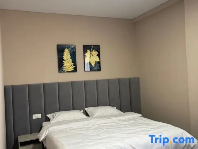 1 Bedroom Suite