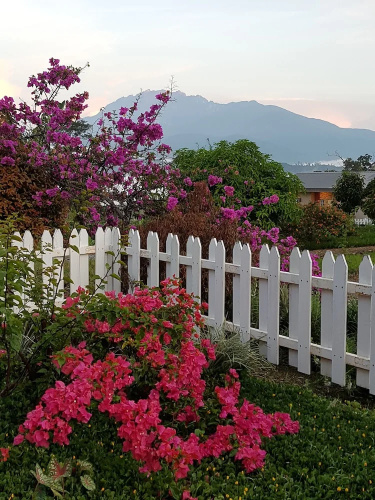 Sabah Tea Resort