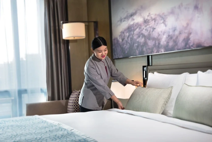 1 Bedroom Suite