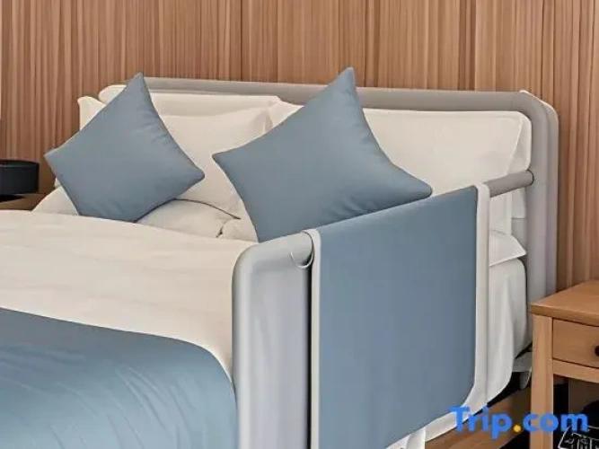 Standard Double room with lake view