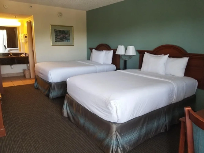 1 Bedroom Quadruple Suite