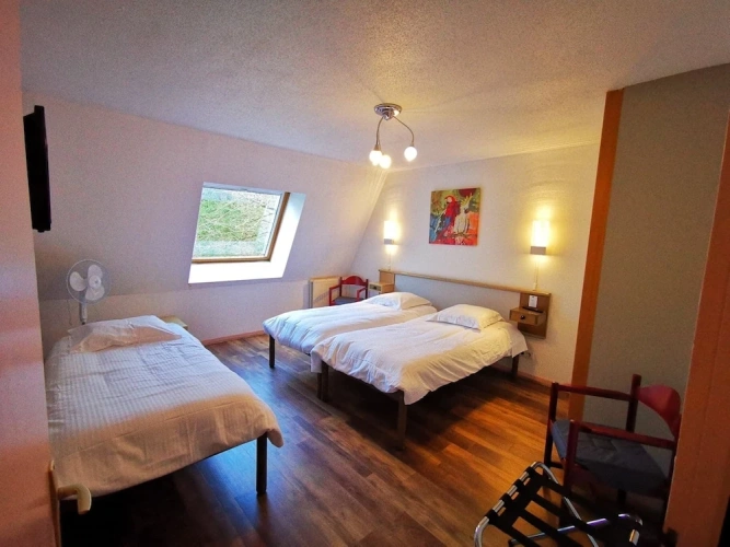 Standard Quadruple Apartment
