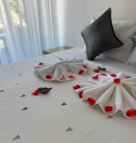 2 Bedrooms Economy Studio