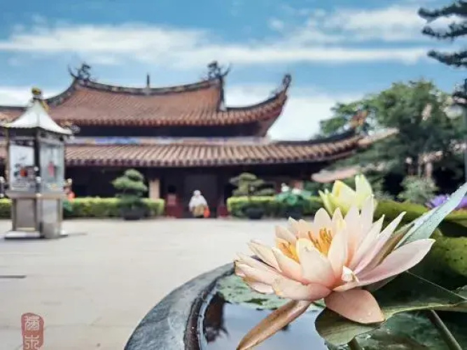 Cheermay Hotel（quanzhou  West Lake Park West Street Shop） - Quanzhou