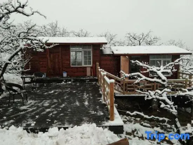 Longevity Mountain Lodge-Lear Garden (mountain cabin B&B)