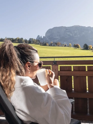 Standard room with balcony and with mountain view