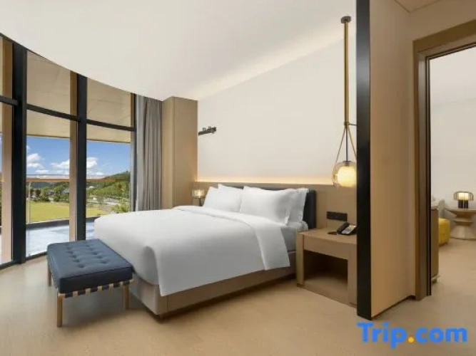 1 Bedroom Single Suite