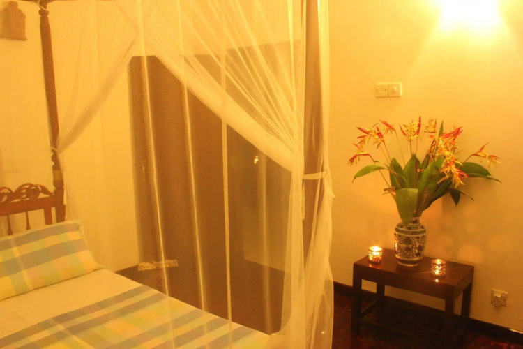 Dionis Villa