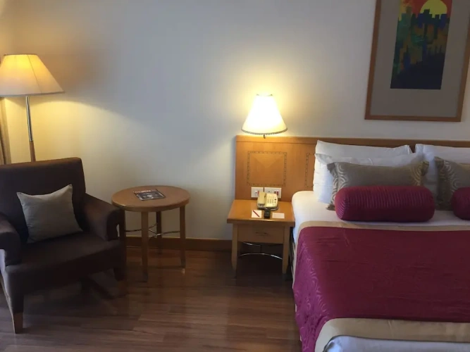 Deluxe Double room with balcony and with city view
