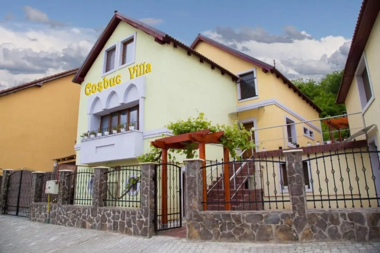 Deluxe Villa