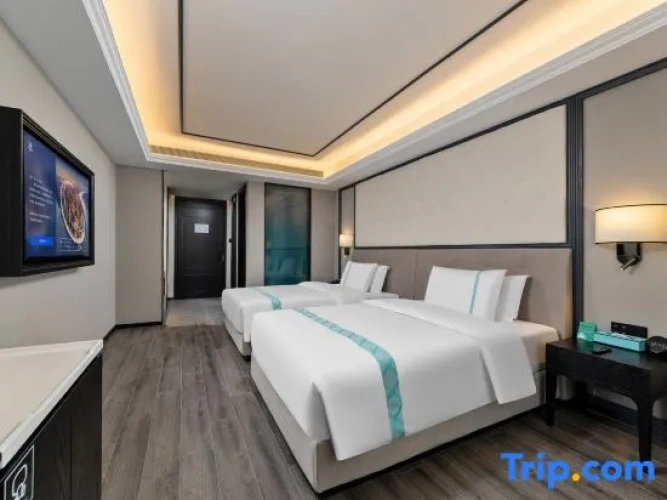 Deluxe Twin Family room