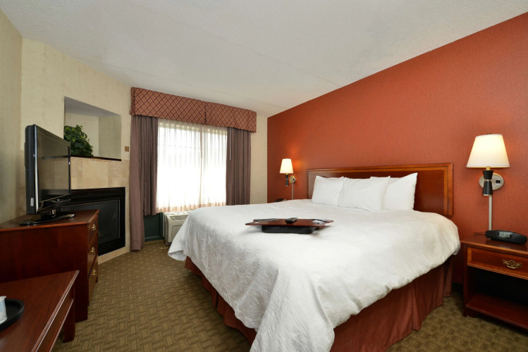 Hampton Inn East Aurora
