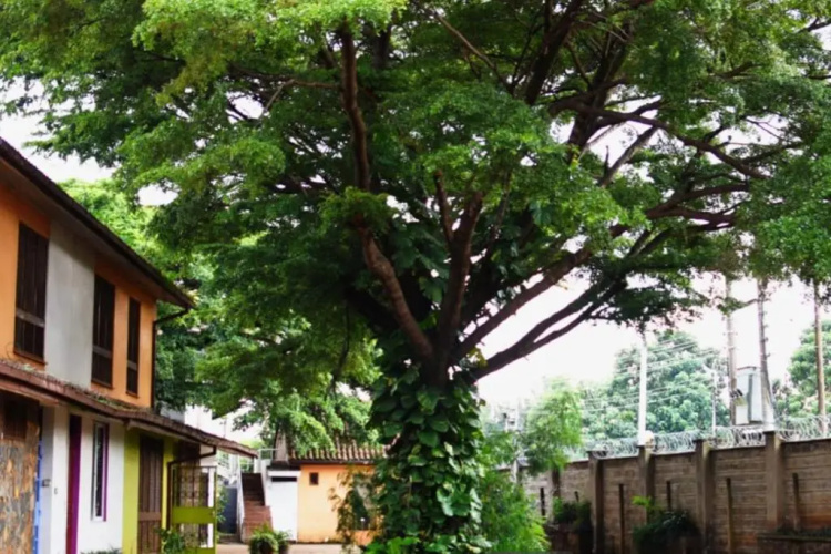 Spacious Studio - Kogelo, Milimani Kisumu