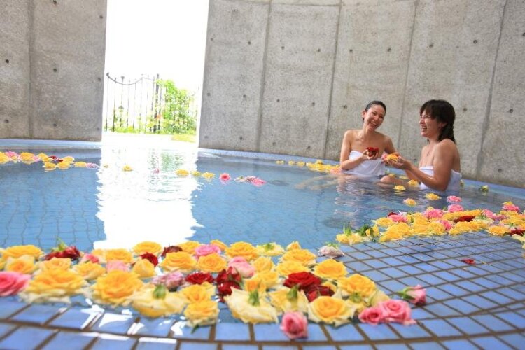 Hotel BellevedereOver view