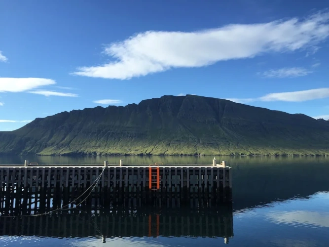 1 Bedroom Suite