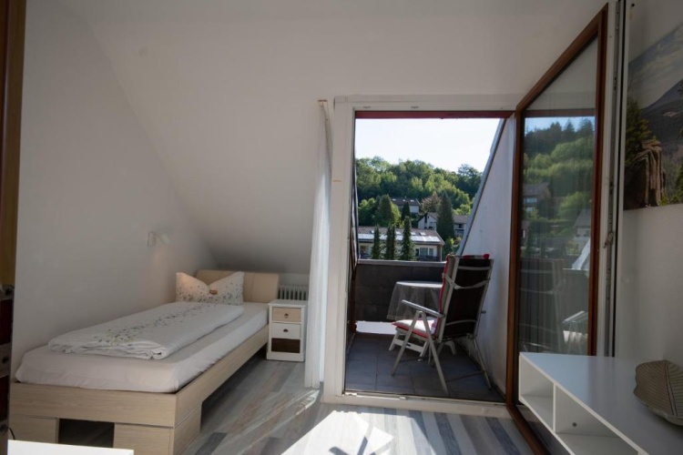Standard Single room with balcony and with view