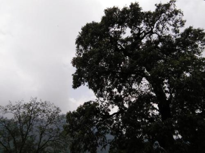 Outside