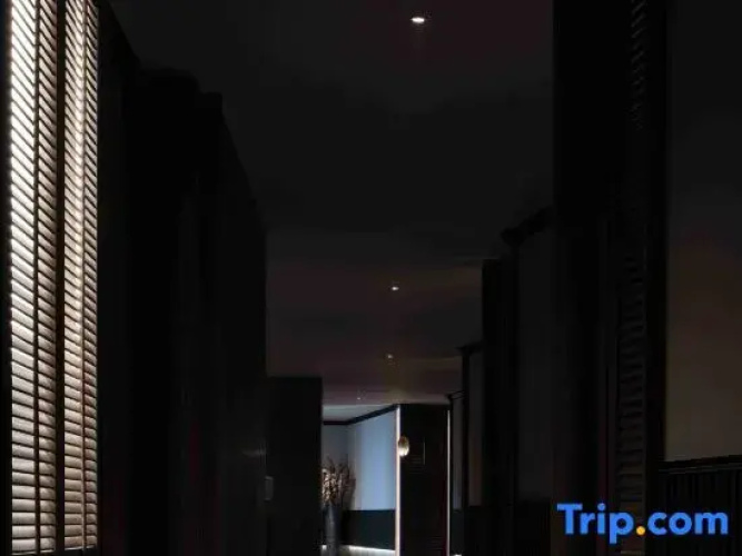 Yijian·6500