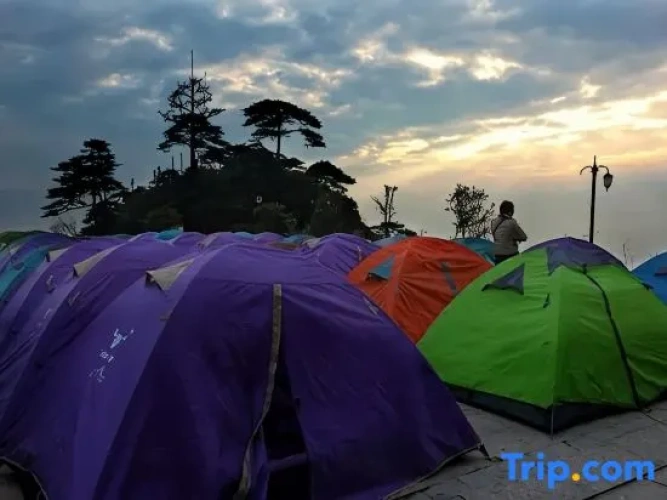 Tent