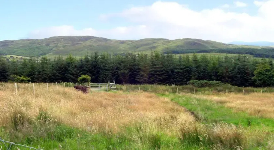 Glenties Cottage