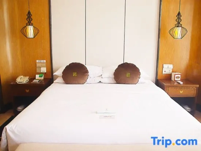 Executive Double Suite