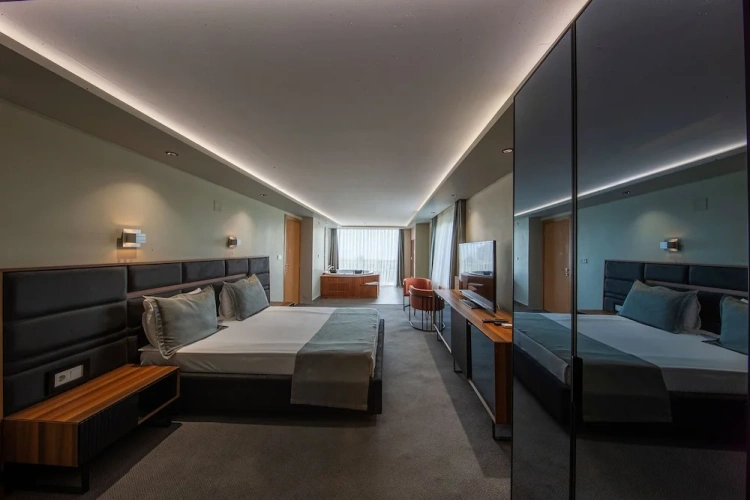 Luxury Suite