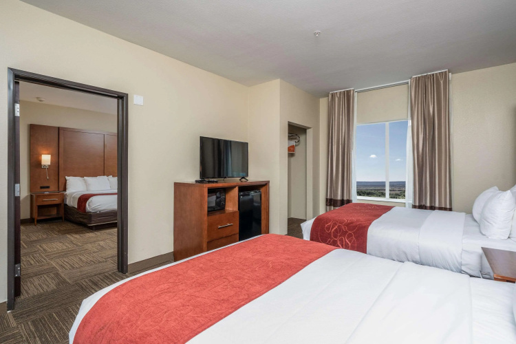 Comfort Suites University Abilene photo 8