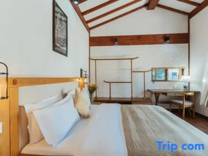 1 Bedroom Suite
