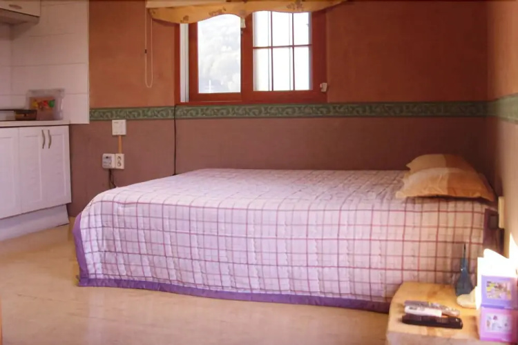 Danyang Geumsusan Log Pension