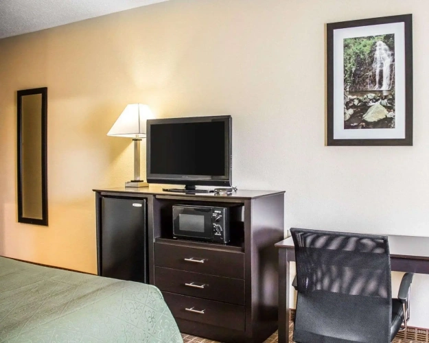 1 Bedroom Standard room