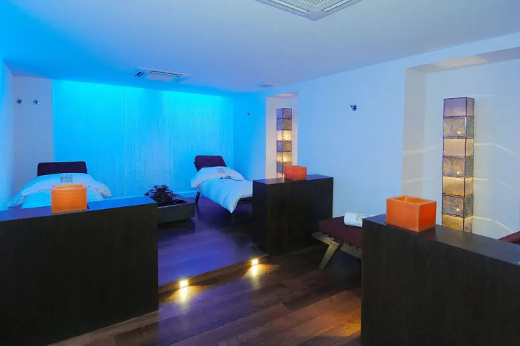 Hotel Les Saules Parc  Spa