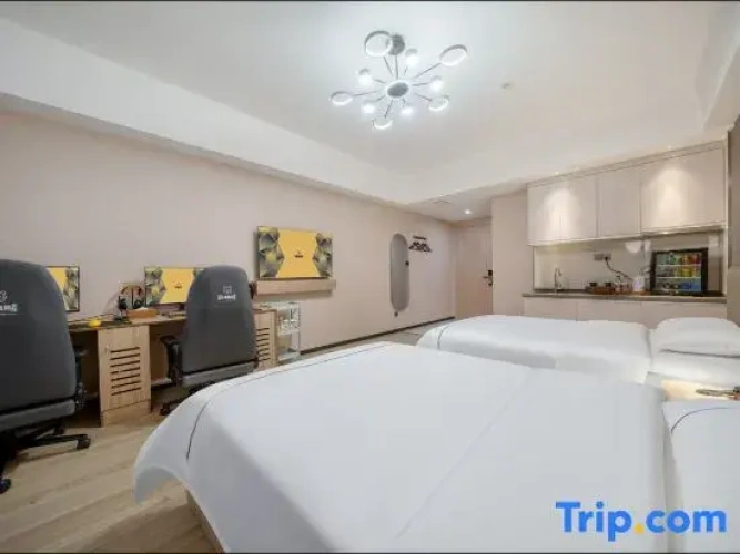 Superior Twin room with city view