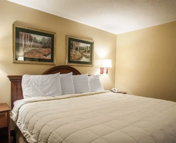 Standard Double room