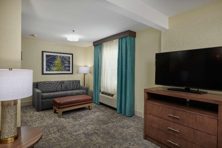 1 Bedroom Suite