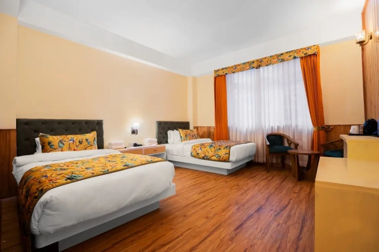 Deluxe Twin room