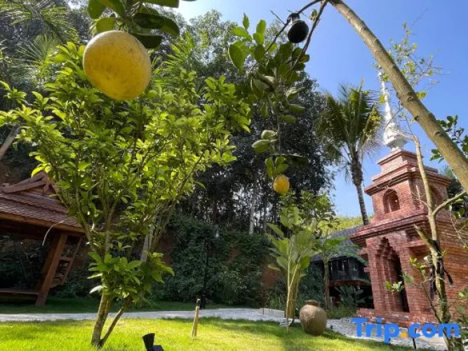 3·SENSE  Resort Xishuangbanna