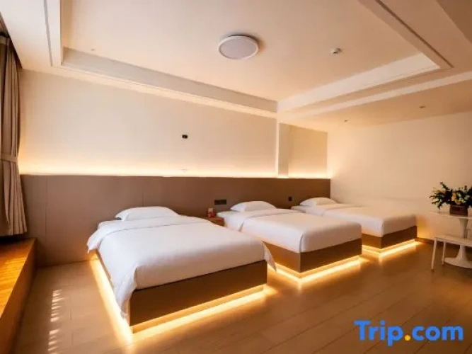Standard Triple room with city view