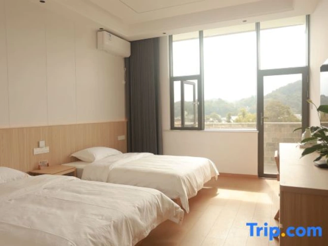 Standard Double room with balcony and with mountain view