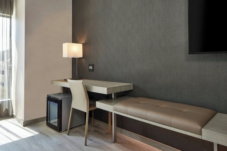 1 Bedroom Suite with city view