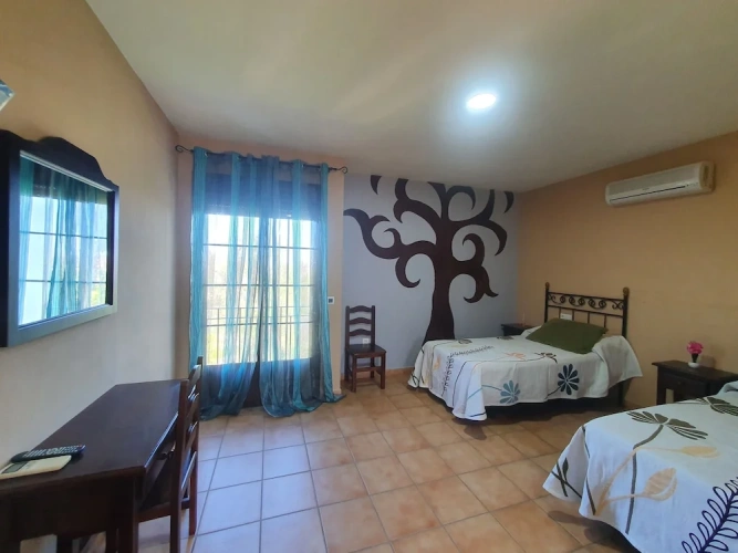 Economy Single room with garden view