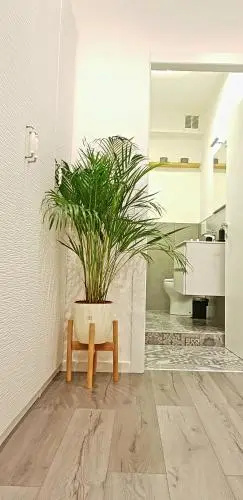 Casa Di Matisse