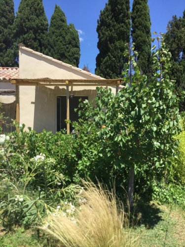 Standard Double room with garden view