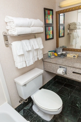 Premium Quadruple room
