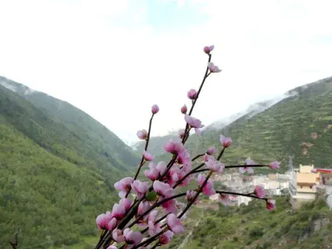 Siguniang Mountain Alpine Hotel