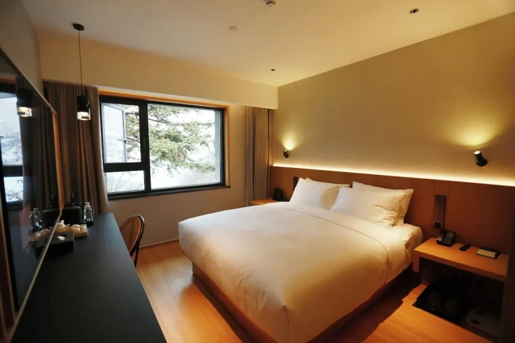 Economy Single room