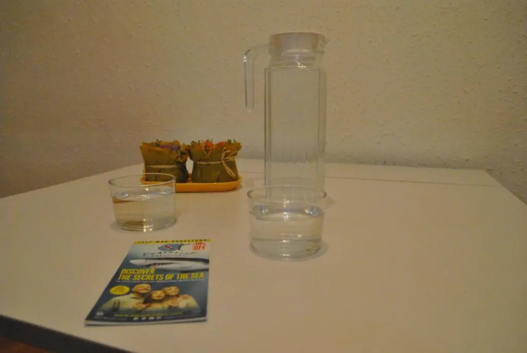 Bcn 324 Apartment