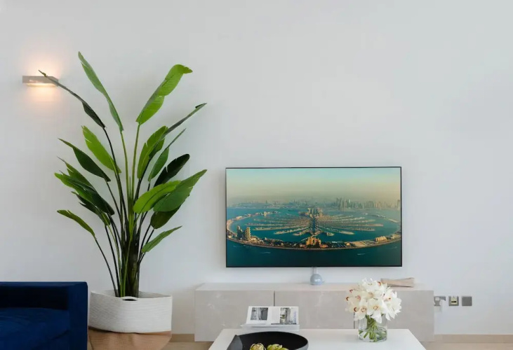 Large waterfront property palm